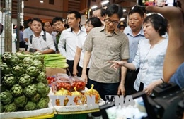 TP Hồ Chí Minh cần nỗ lực kiểm soát thực phẩm từ nguồn